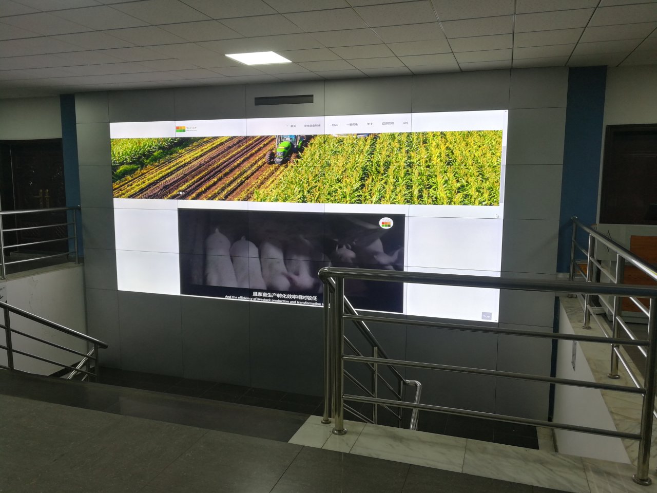 55寸0.88mm4X5188bet金宝搏亚洲下载最佳选择
大屏幕图片 55寸0.88mm4X5188bet金宝搏亚洲下载最佳选择
大屏幕图片