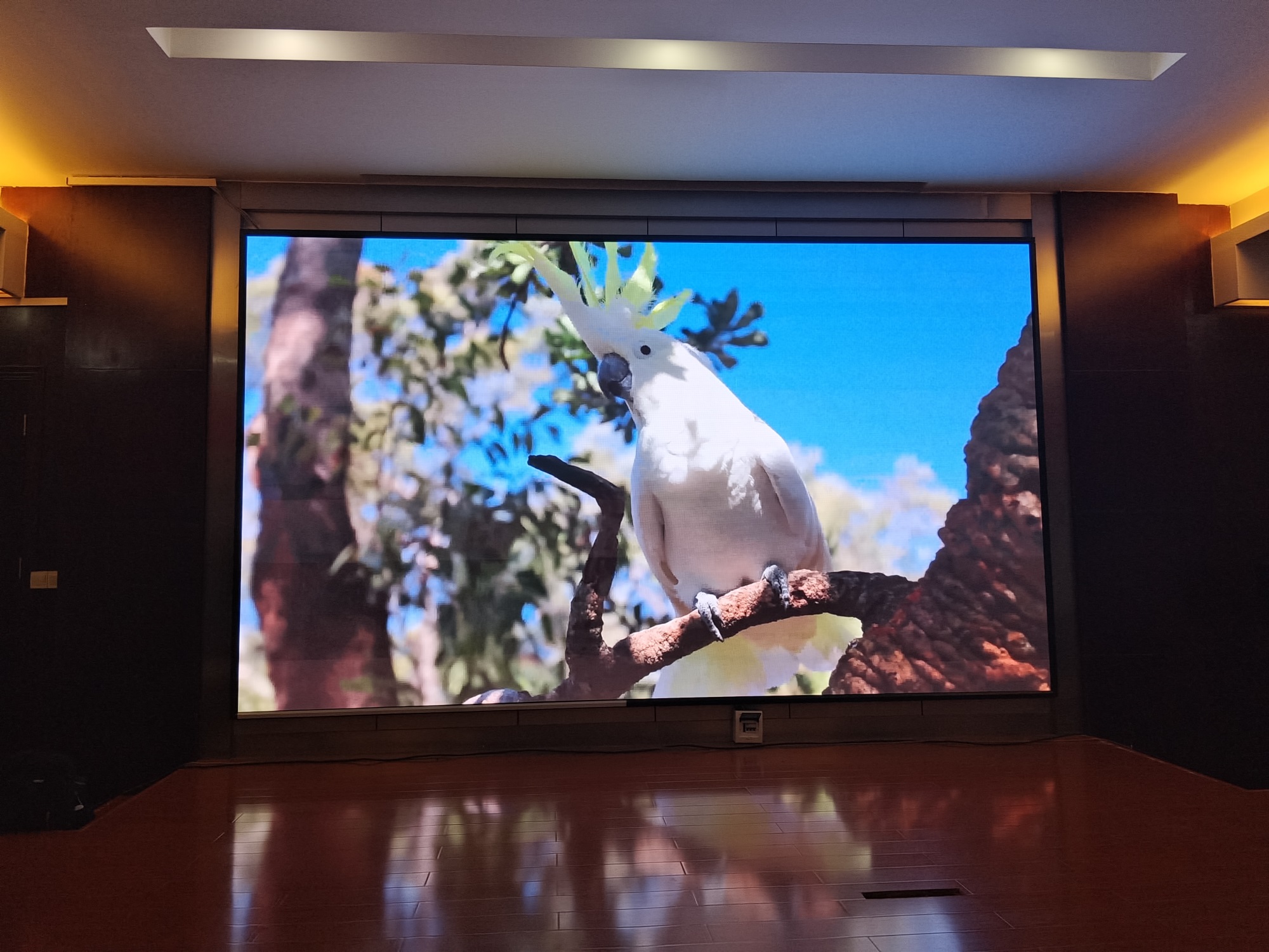 遂溪县某机械公司大型P2.0LED全彩屏展示项目案例 遂溪县某机械公司大型P2.0LED全彩屏展示项目案例