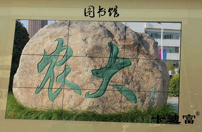 甘肃图书馆49寸188bet金宝搏亚洲下载最佳选择案例图