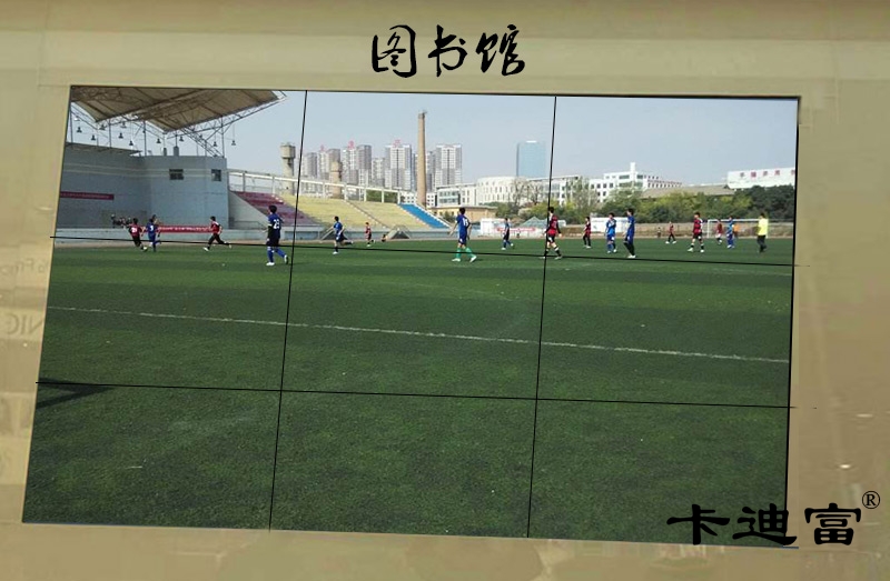 定西农业大学188bet金宝搏亚洲下载最佳选择案例图