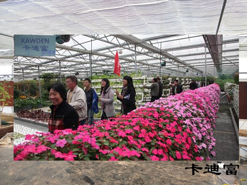 湖北55寸188bet金宝搏亚洲下载最佳选择农业生态园案例图