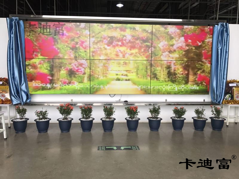 博览会55寸188bet金宝搏亚洲下载最佳选择案例图