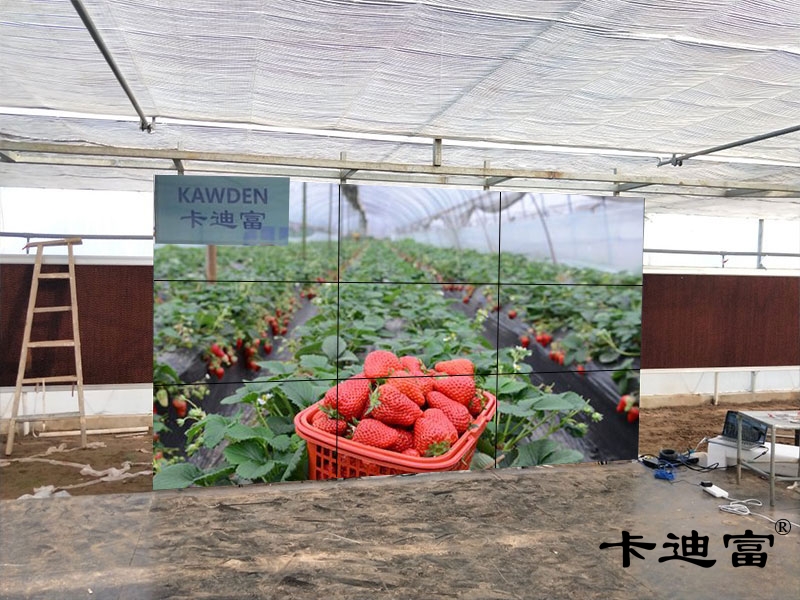 武汉55寸188bet金宝搏亚洲下载最佳选择
场景图